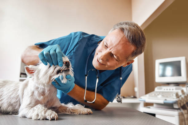 Best Emergency Dental Care for Abscessed Tooth in Ridgewood, NJ